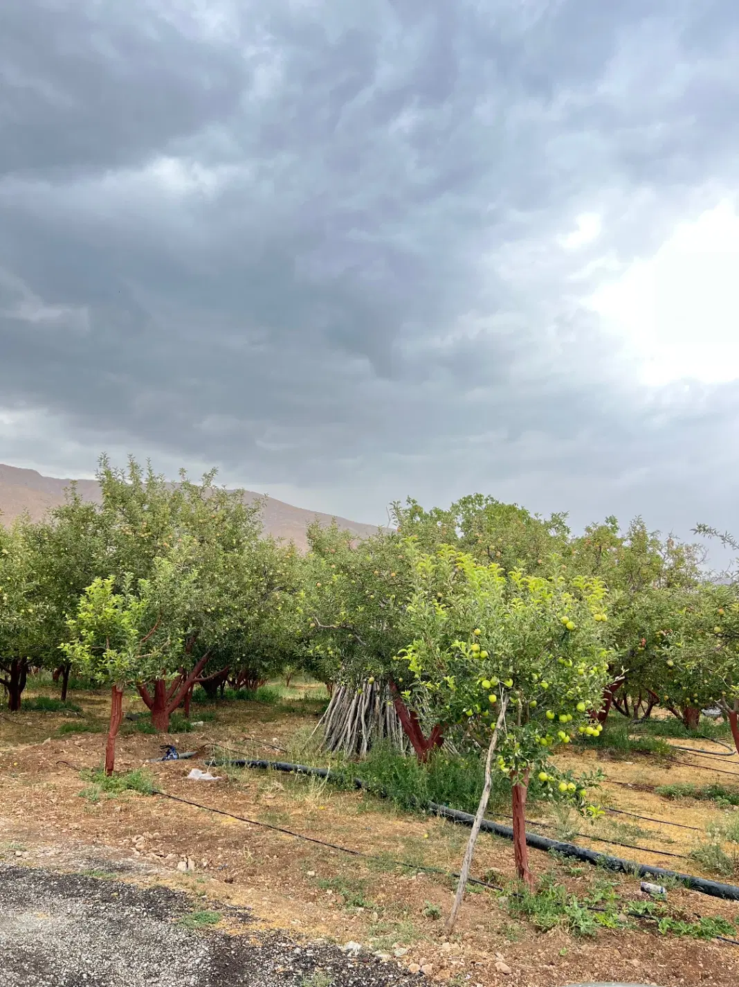 بهترین لوکیشن های جابان دماوند ۲۰۰ مترالی ۱۰۰۰ متر