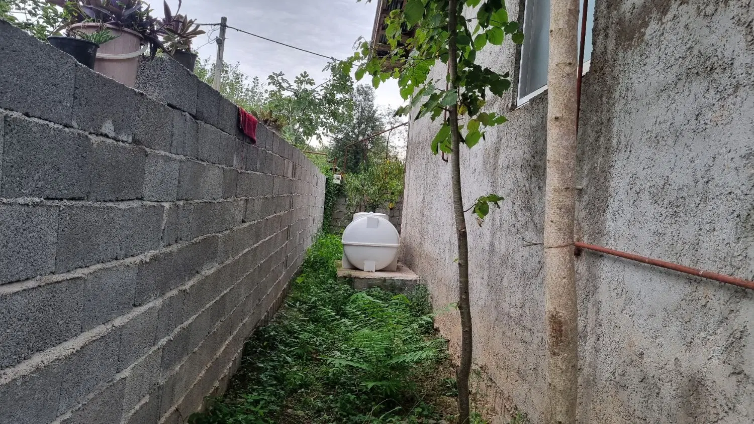 باغ ویلا