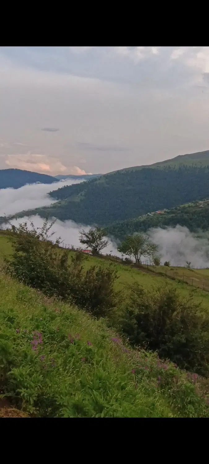 زمین کوهستانی