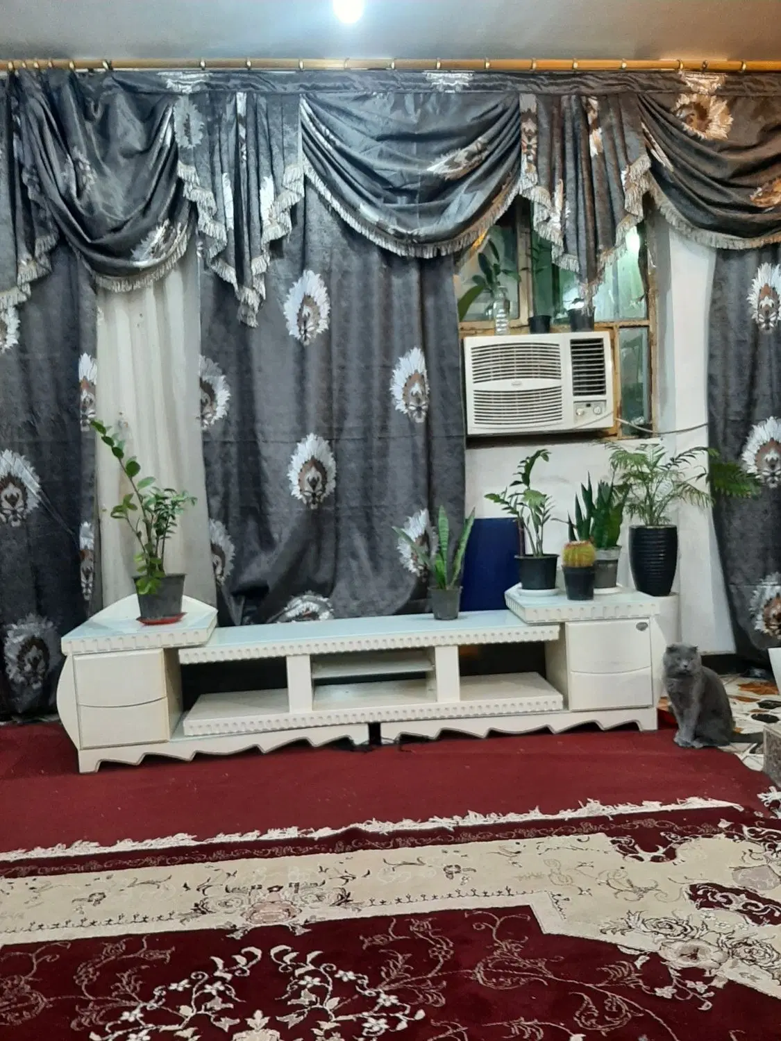 همخونه میخام.