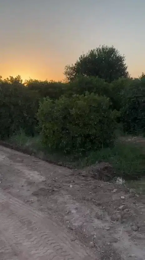 ۱۰۰۰متر باغچه کنتور برق