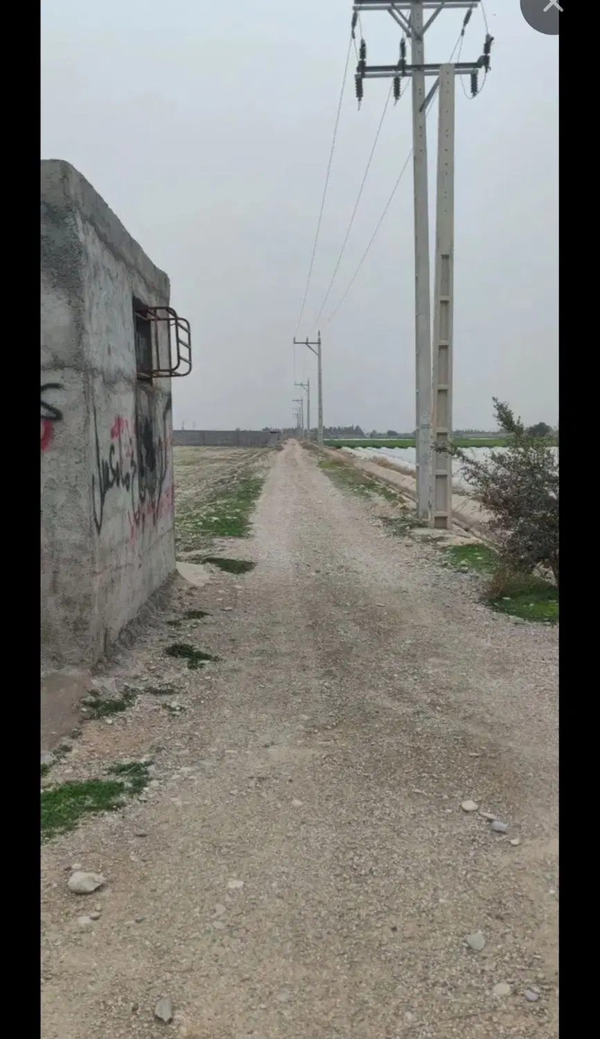 زمین ۵۰۰متری  در بنوار شامی
