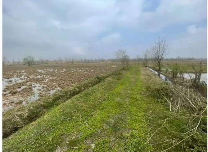 ۱۹۱۷ متر زمین کشاورزی در لشت نشا