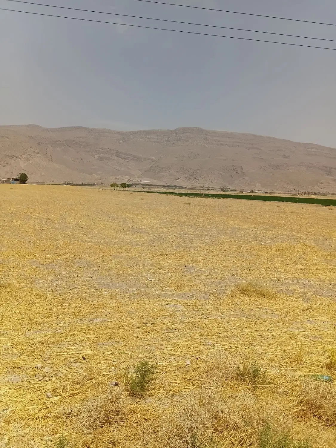 فروش زمین کشاورزی