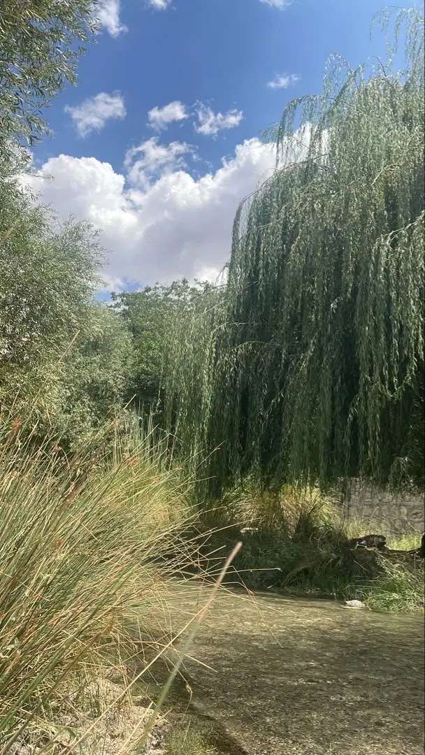 زمین حسن لنگی پایین