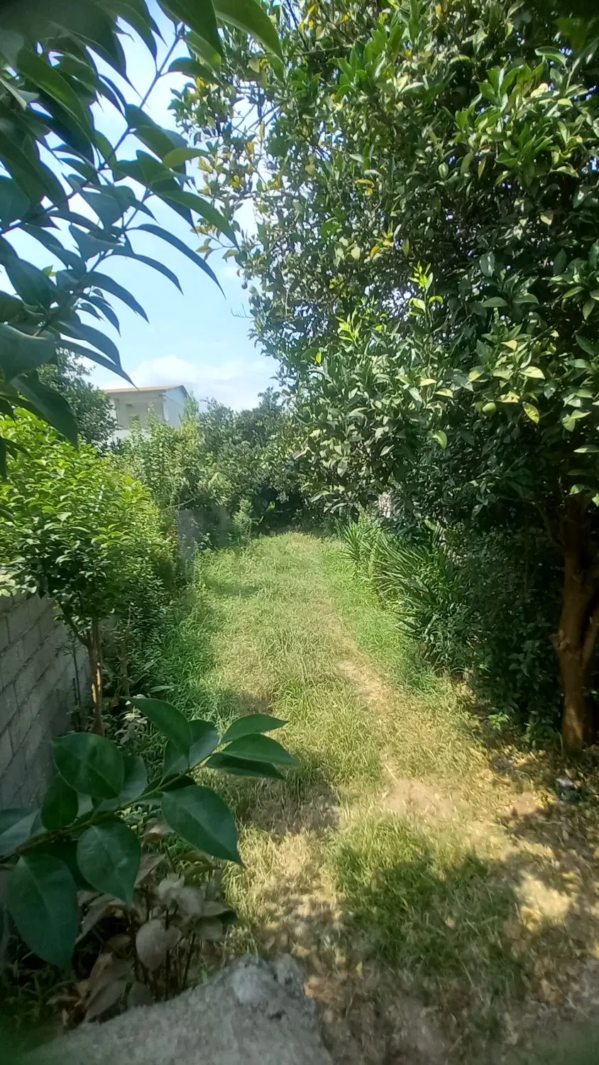 ۱۰۵ متر زمین در تنکابن کشکو بفروش میرسد