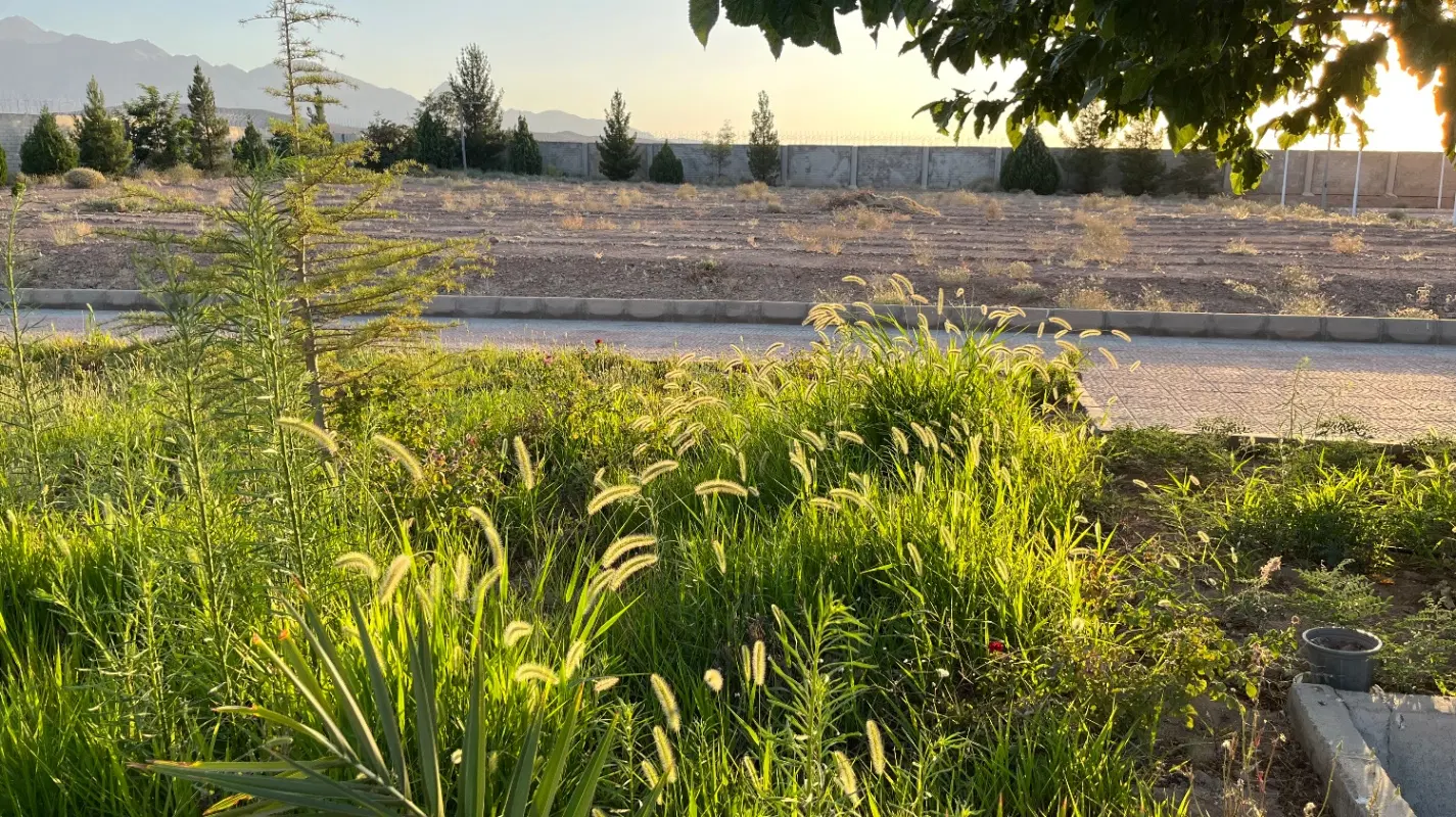 زمین مسکونی اختیاراباد