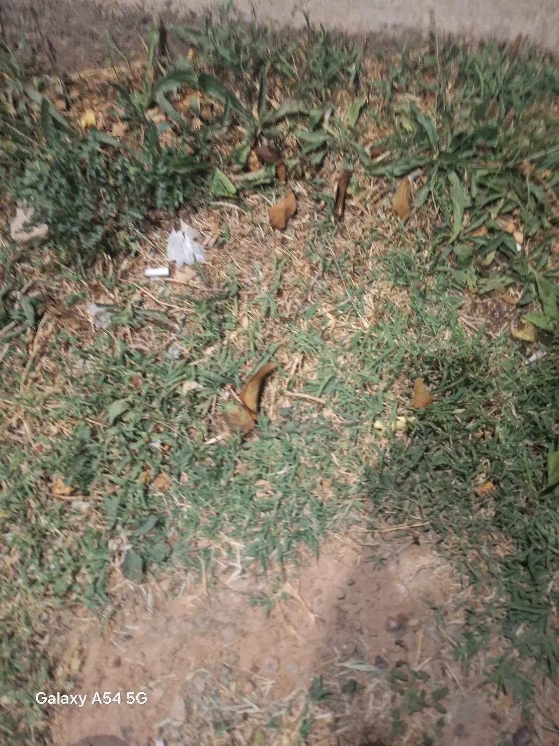 فروش زمین مسکونی خان زنیان