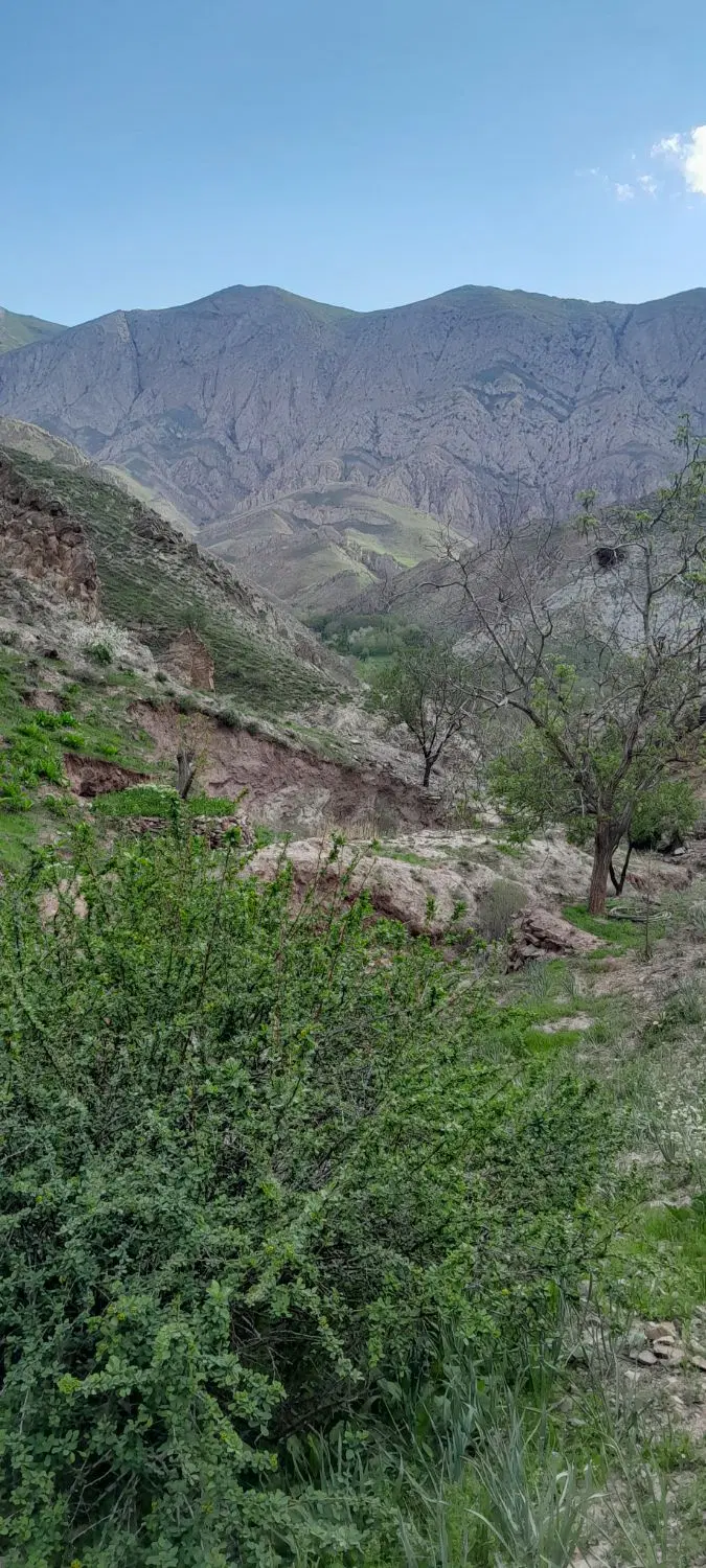 باسلام یک قطعه زمین فروشی