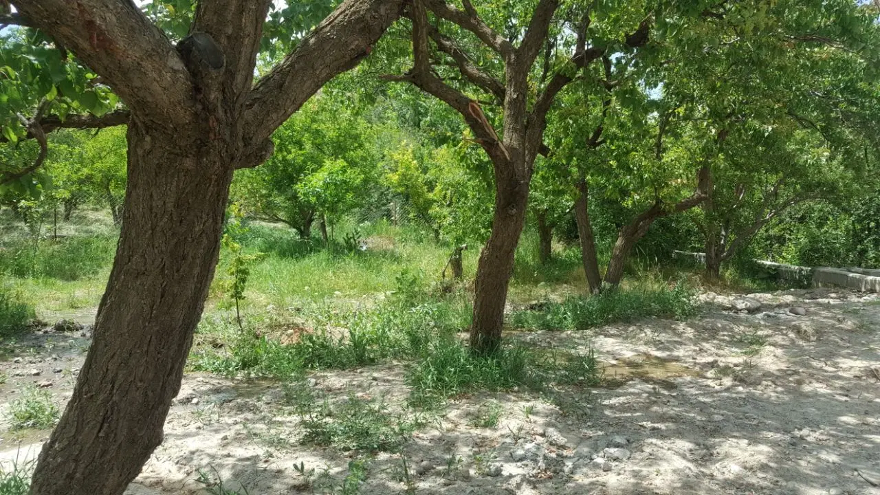 باغ در منطقه ایوند
