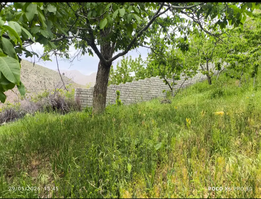زمین ۸۴۰ متری باغی در آبرودبار لواسان بزرگ