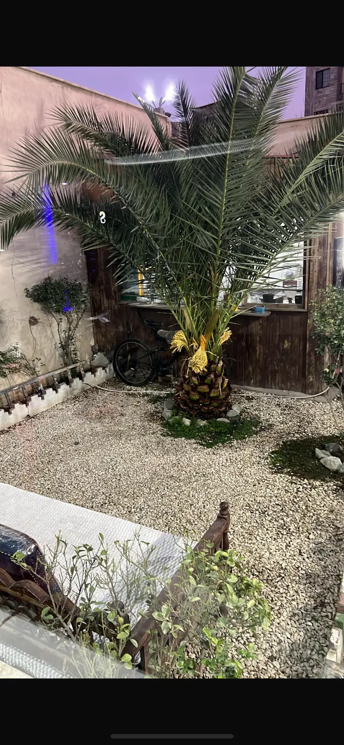 اجاره بوفه باشگاه بدنسازی مردانه