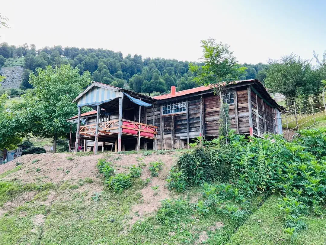کلبه جنگلی خود ییلاق اولسبلنگاه و دریای ابر
