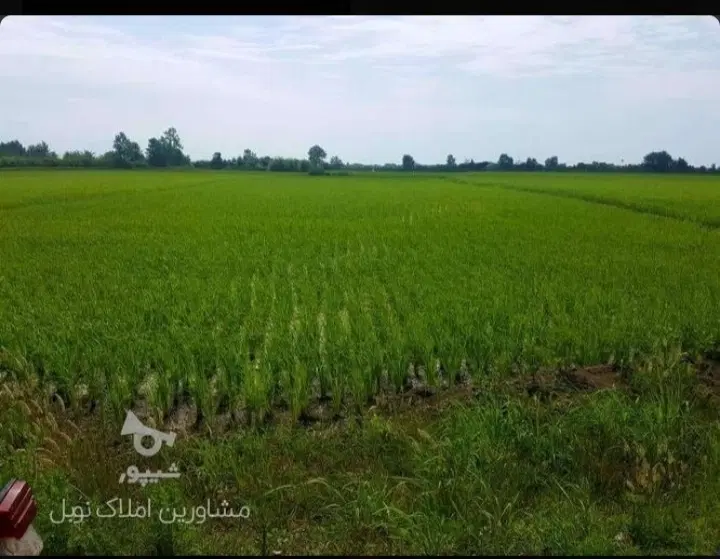 زمین