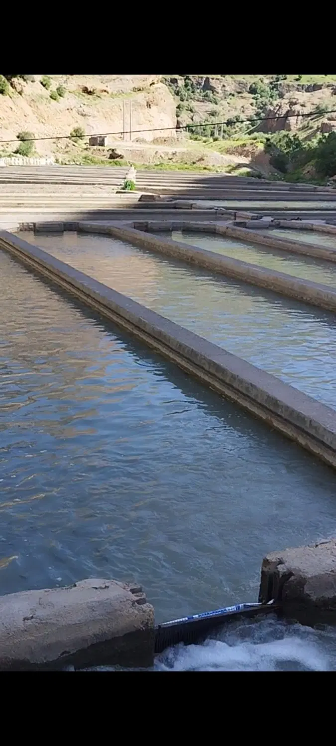 کارگاه پرورش ماهی