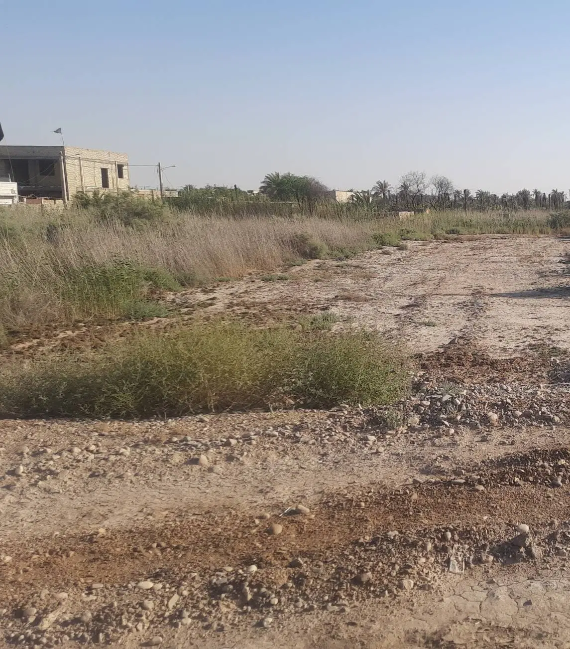 زمین پیش ساحلی