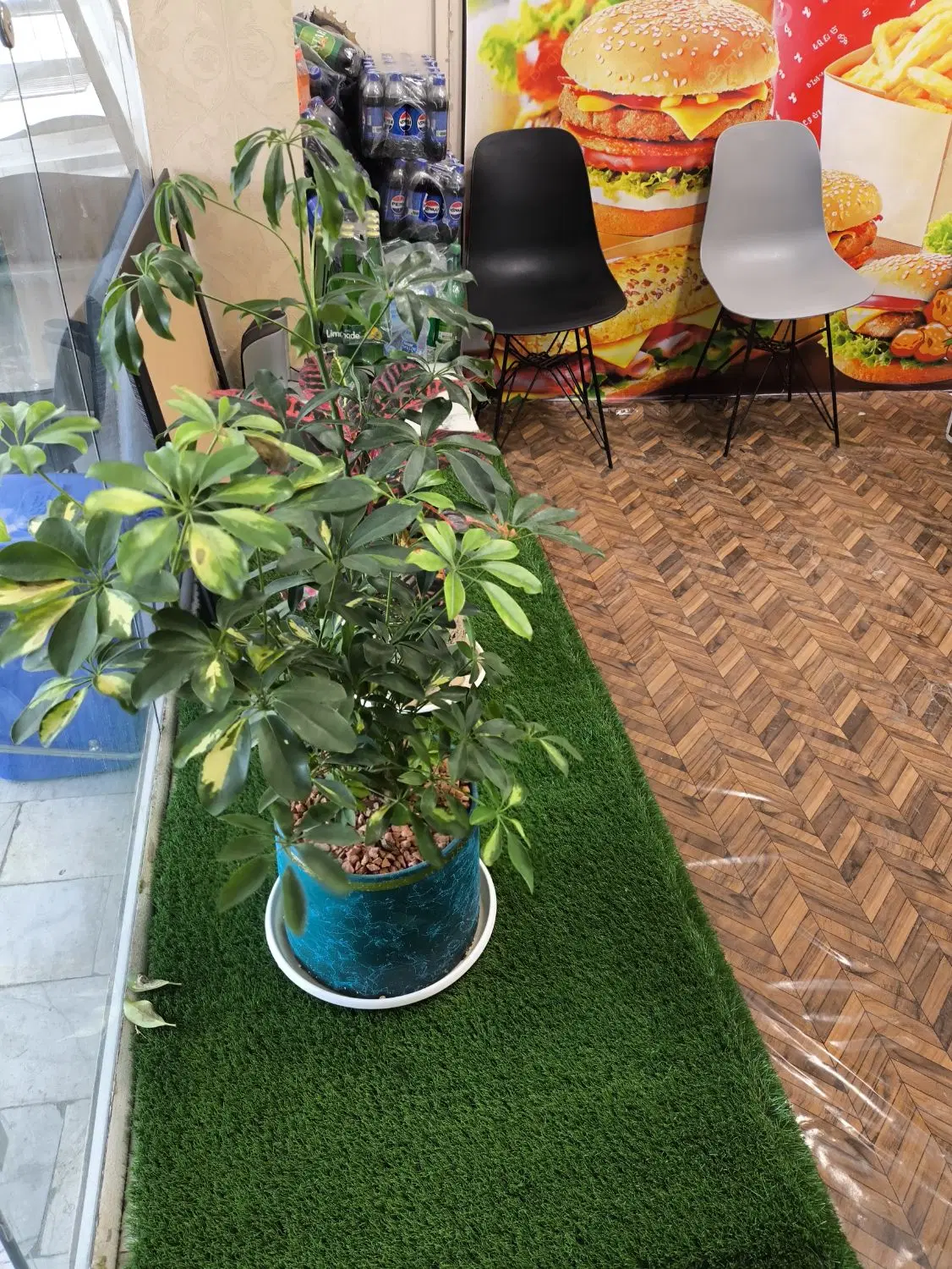 اجاره مغازه و فروش وسایل فست فود شریعتی
