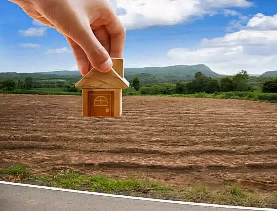 زمین تجاری چنارستان علیا