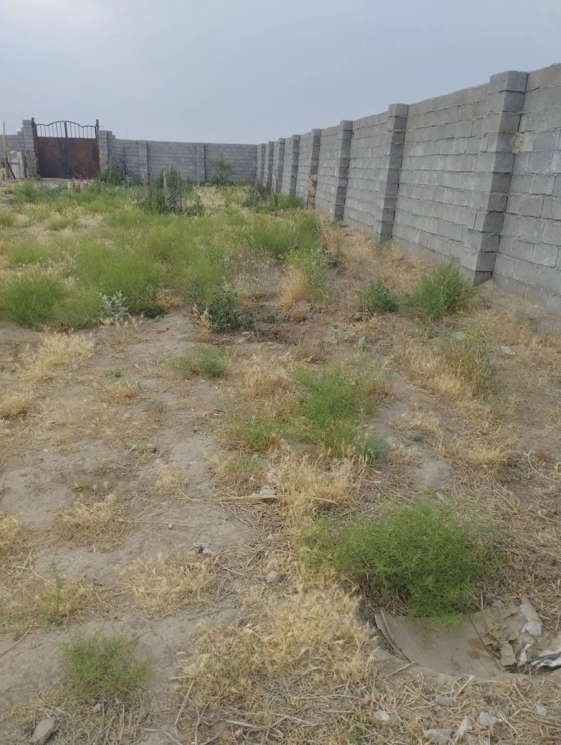 زمین در نصیرکندی