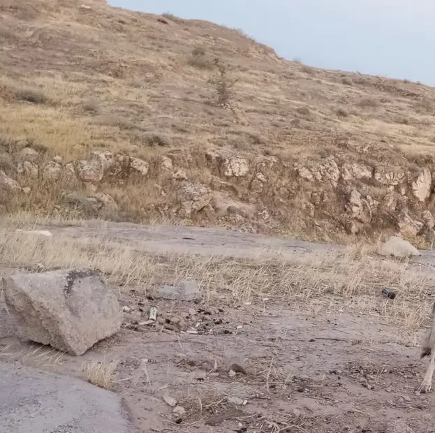 فروش زمین پیامبر اعظم شبانکاره