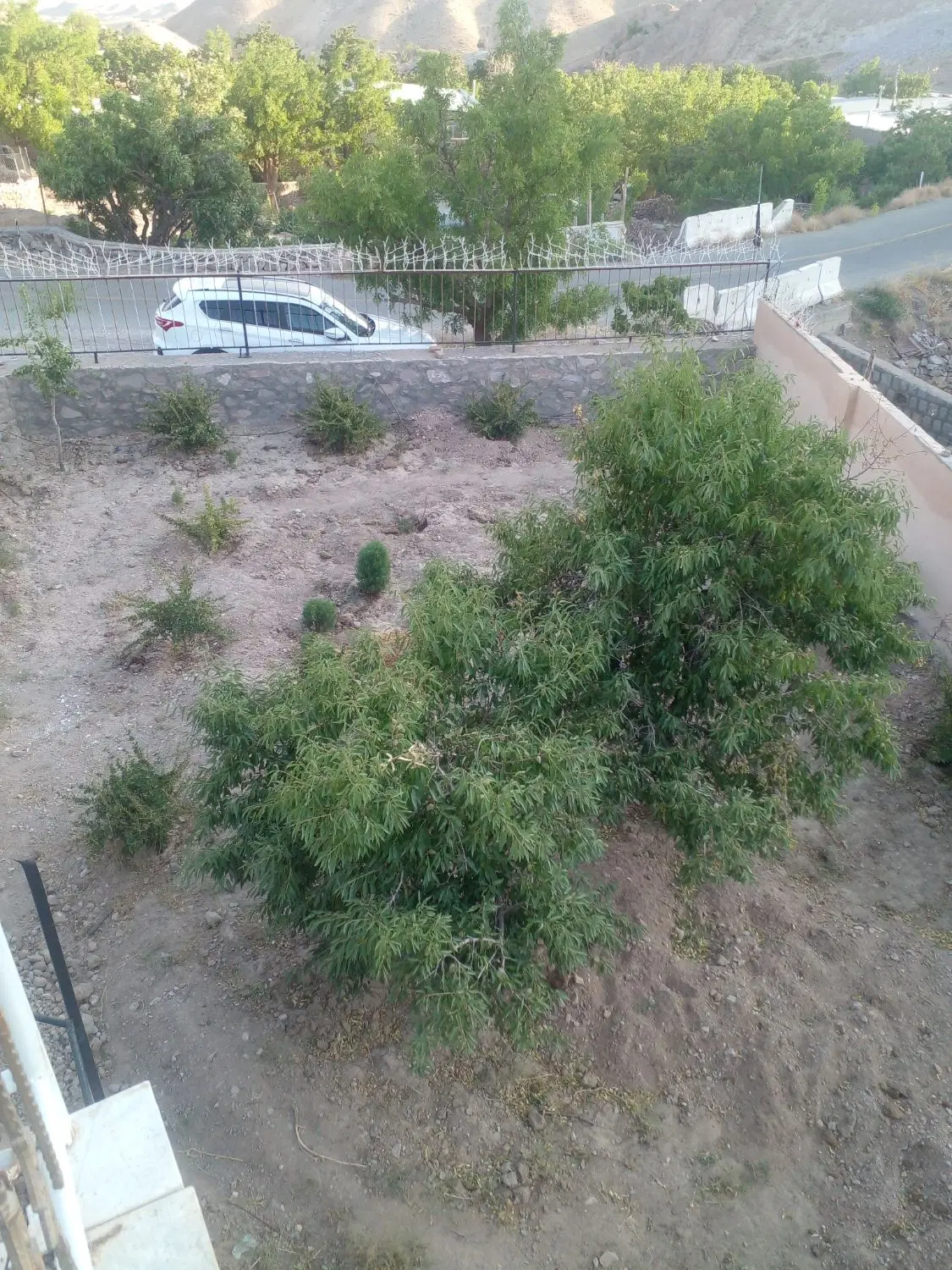 فروش باغ