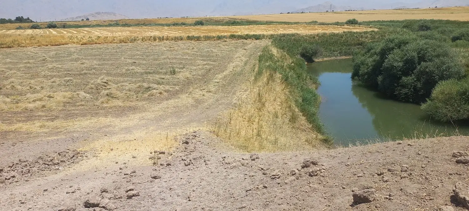 زمین دیم واقع درسراب نیلوفر
