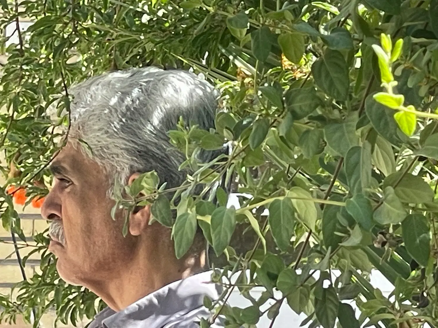 اجاره یک  واحد تجاری صفائیه