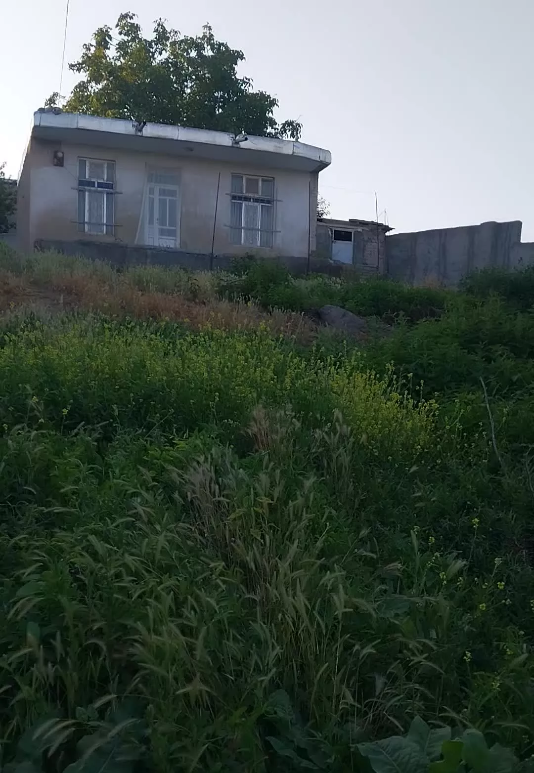 ۷۲۰متر زمین