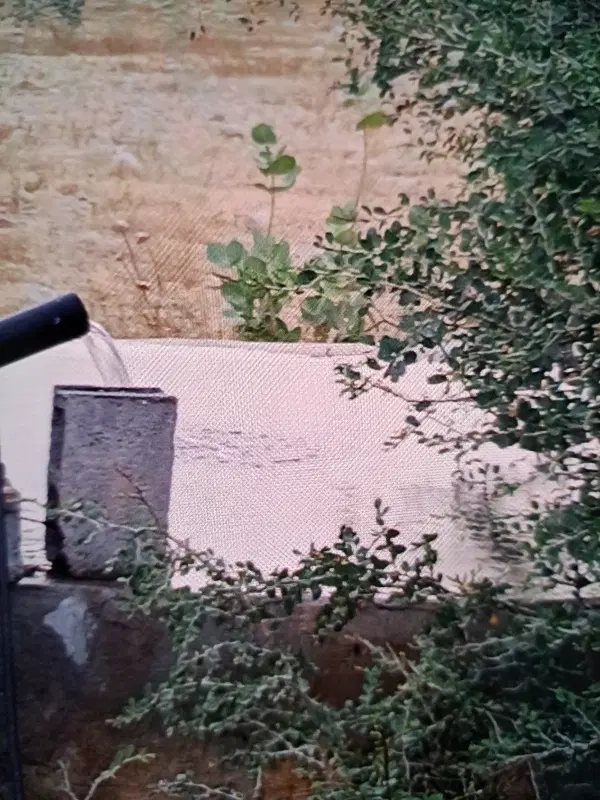 فروش زمین باغشهری