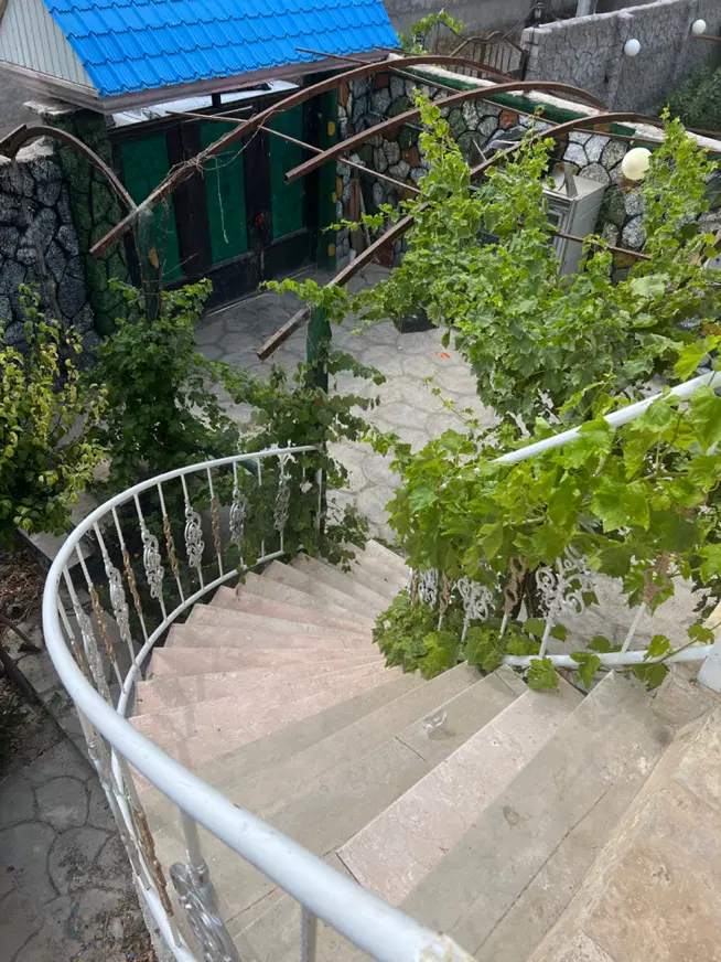 تالارباغ حسن باروق
