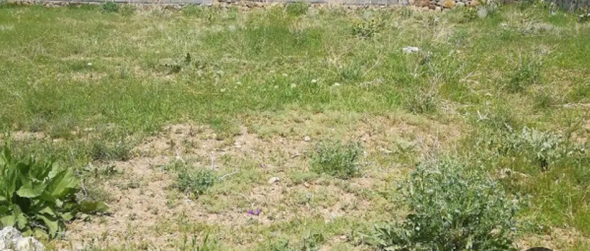 زمین سوران شاندیز مساحت ۲۵۰۰