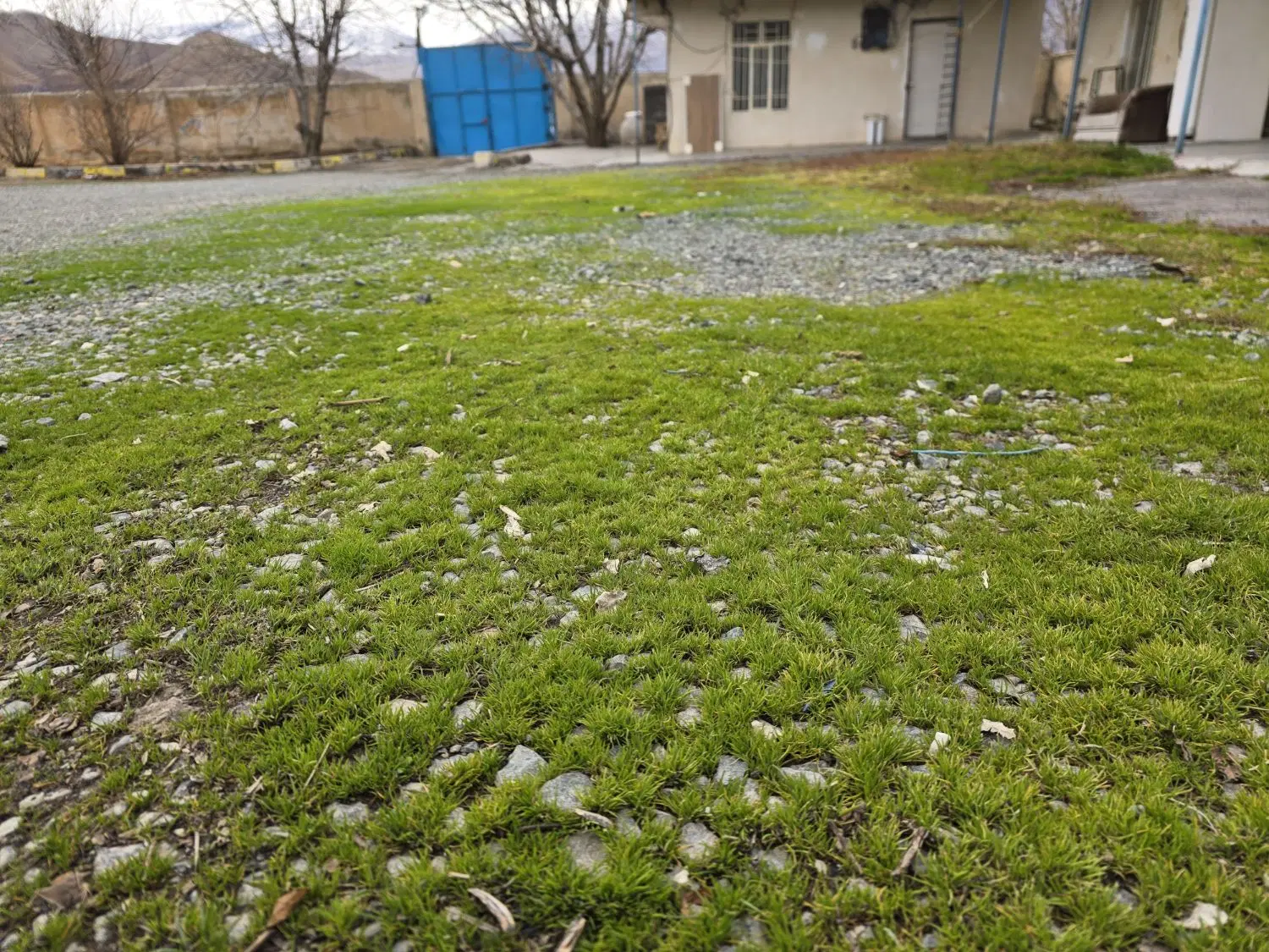 خانه ویلایی بر خیابان شهید شمشادیان(شهربانی سابق)