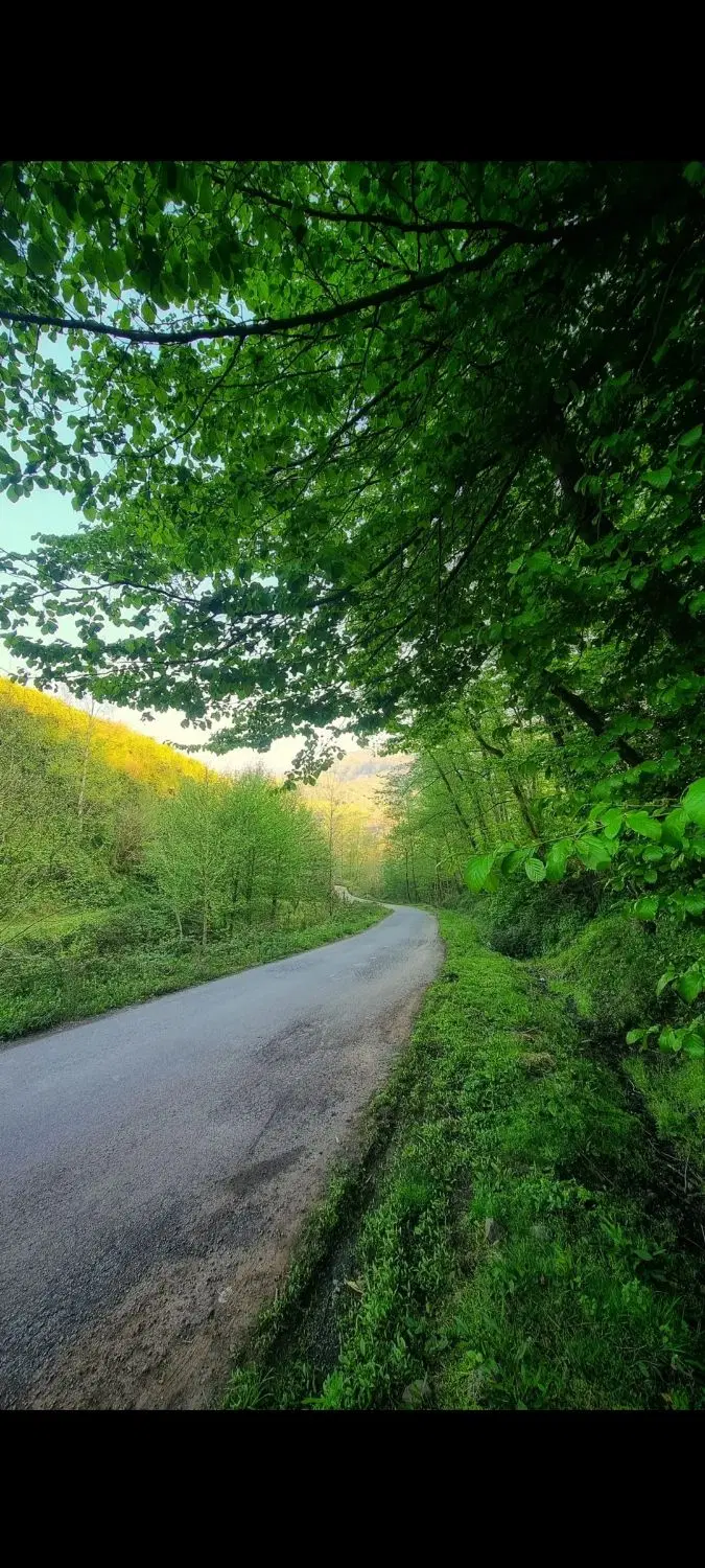 ۳۵۰۰ متر خونه روستایی در قلب جنگل های شفت