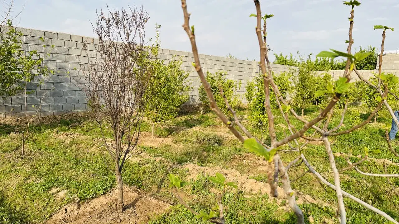 فروش باغچه