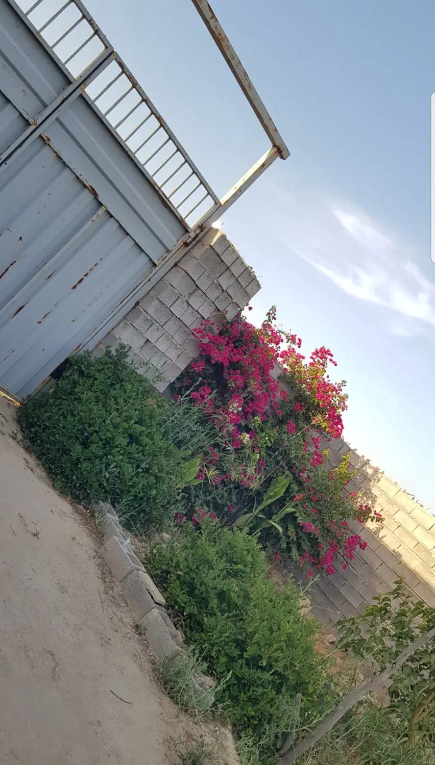 باغ  منصوریه