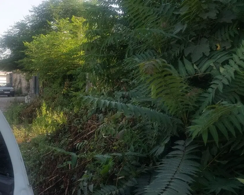 333مترزمینی درچندقدمی خانه ویلای های روستا