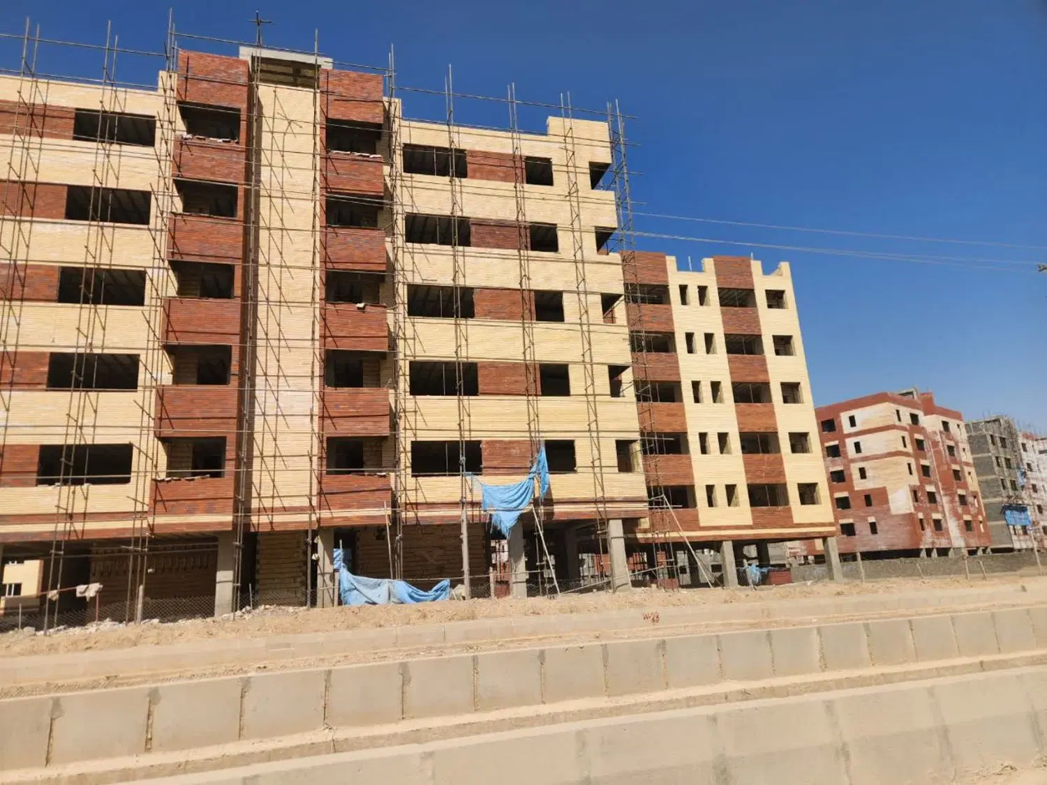 سایه گستر کاوه امید