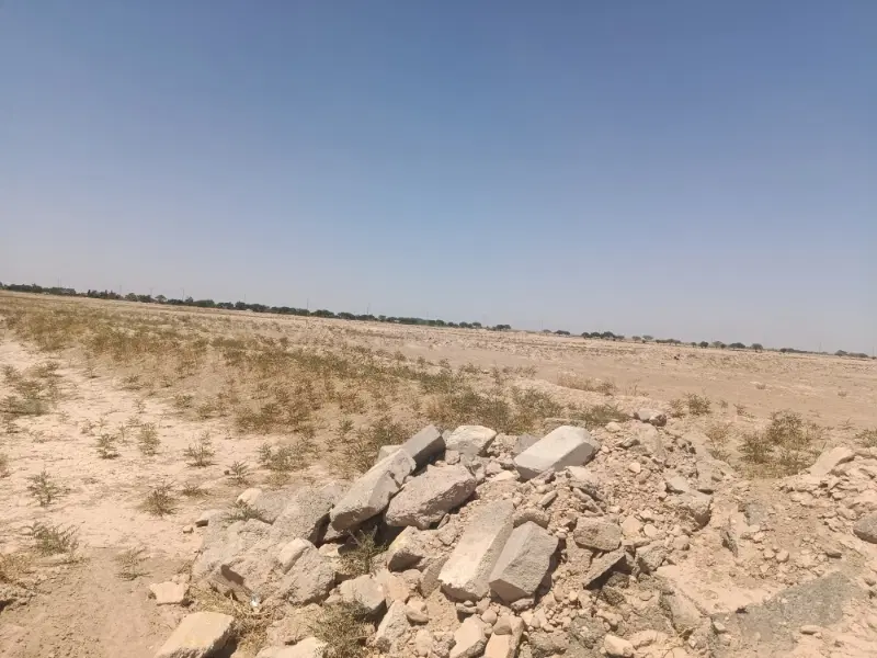 زمین