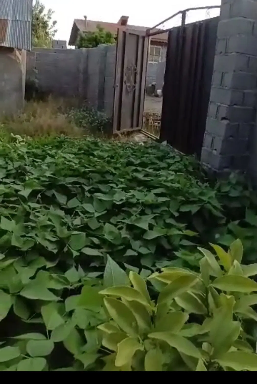 زمین مسکونی ۱۵۲متر
