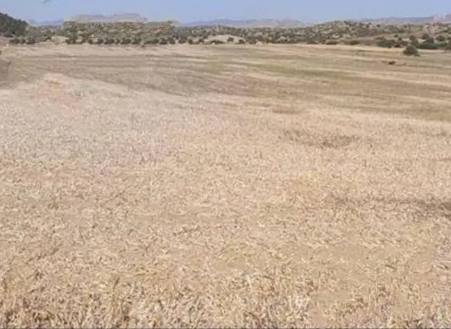 زمین فروشی در بنجار