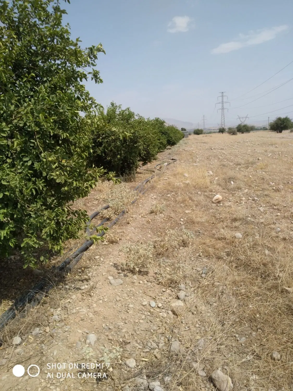 باغ تلخاب شیرین