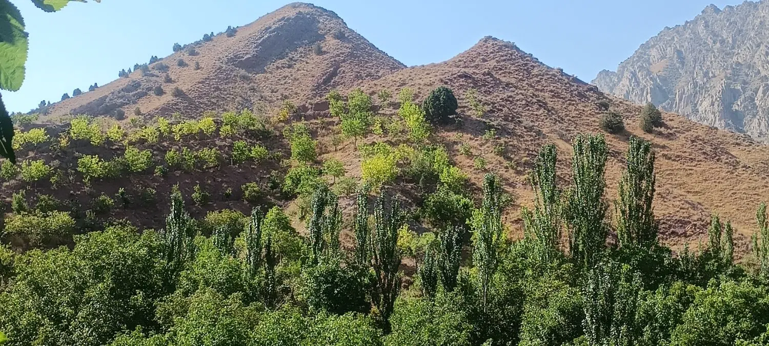 معاوضه مغازه با خانه