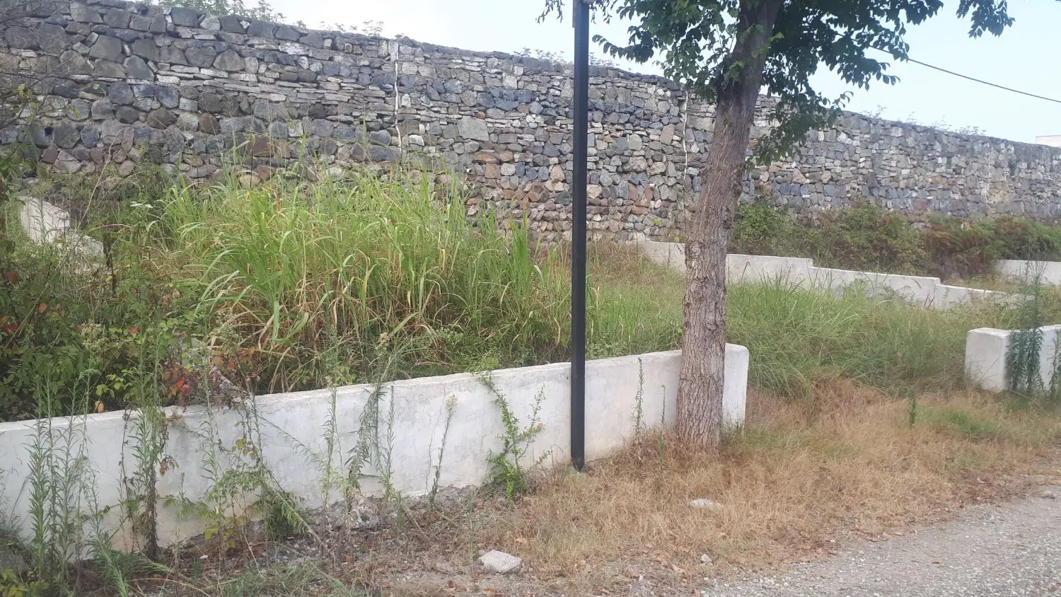 زمین ۱۵۰ متری خوش قواره