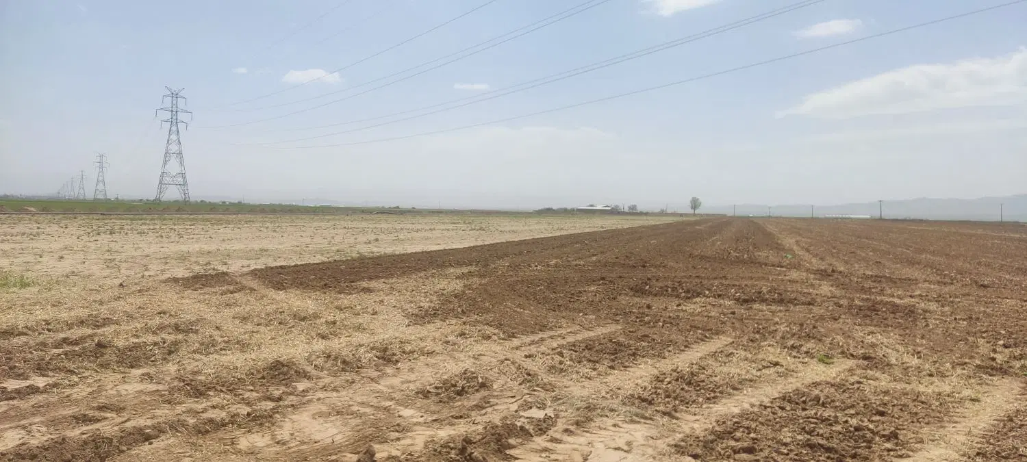 تجاری حاشیه کمربندی