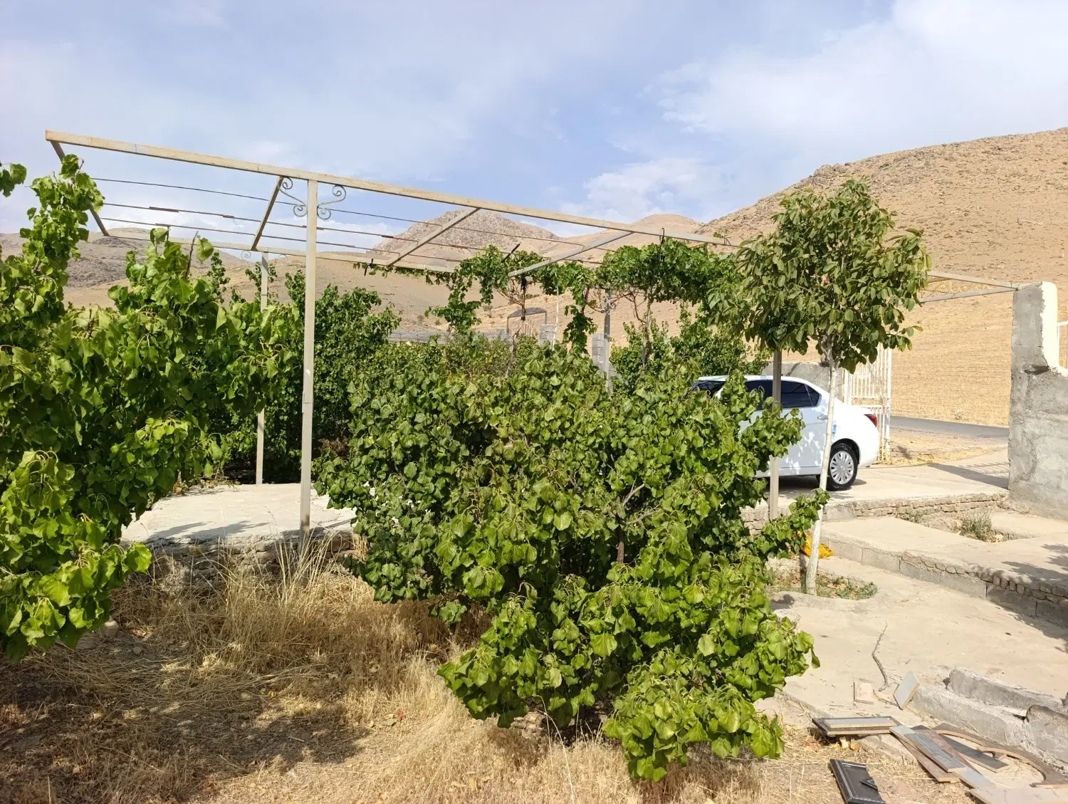 باغ فروشی