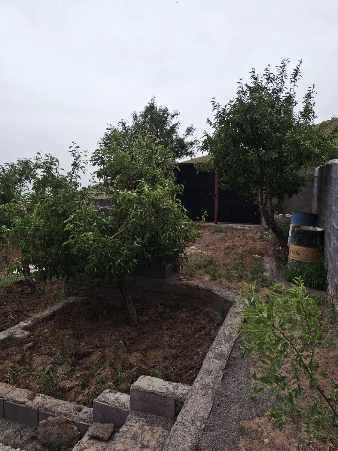 فروش باغ حیدره بالا شهر منطقه چشما