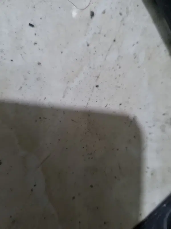 خونه همکف