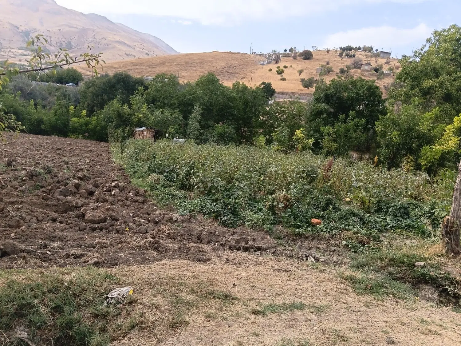 زمین کشاورزی روستای کیلانه
