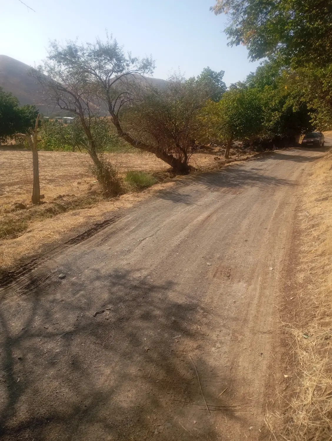 زمین کشاورزی ابی کیلانه