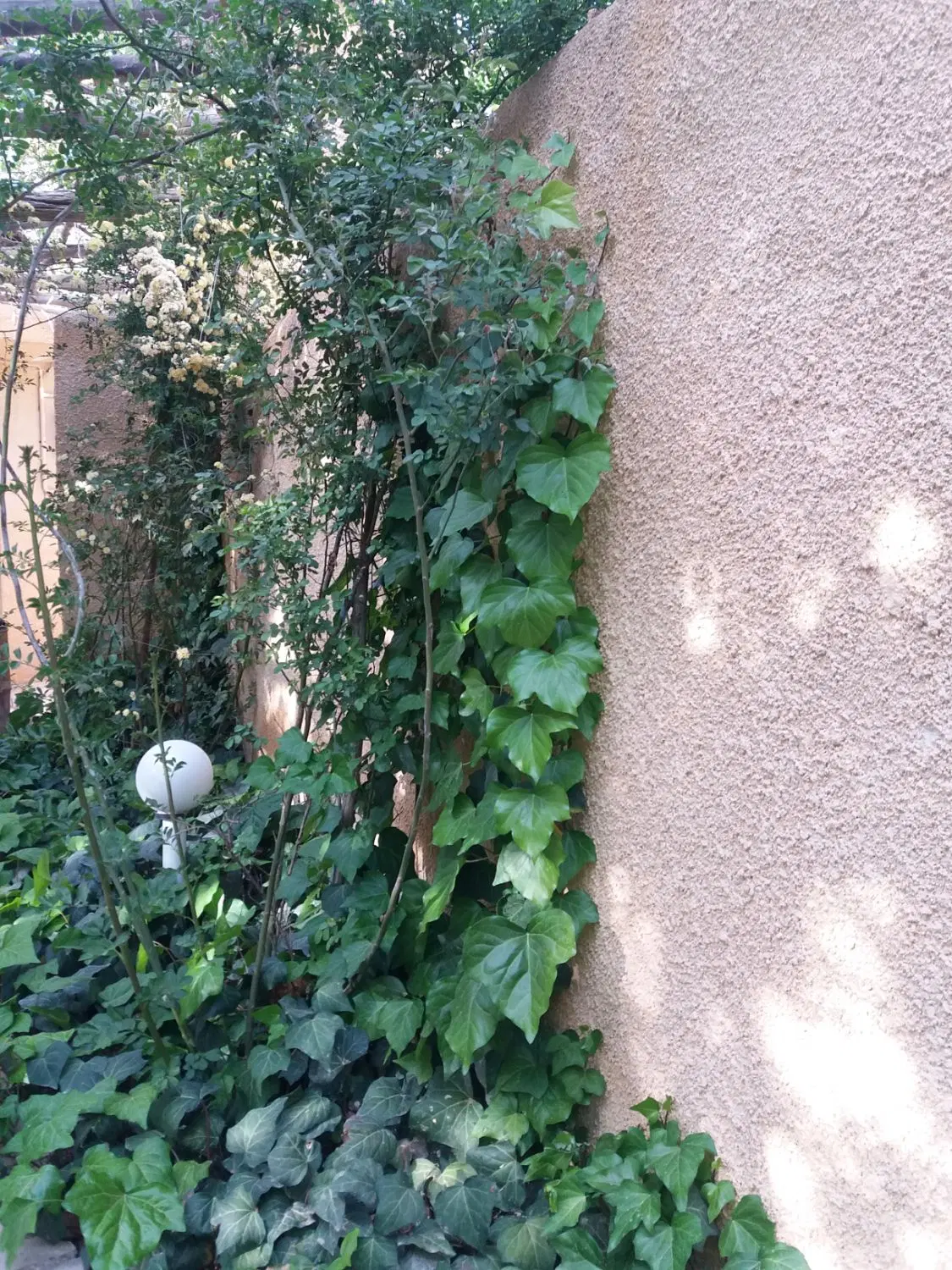 منزل ویلایی گنبه ای بازسازی و تمیز